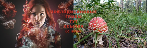 Альфа ПВП Кодинск