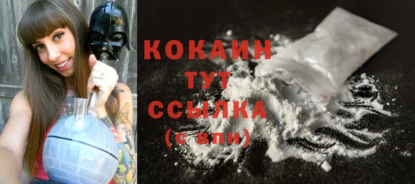 мет Коряжма
