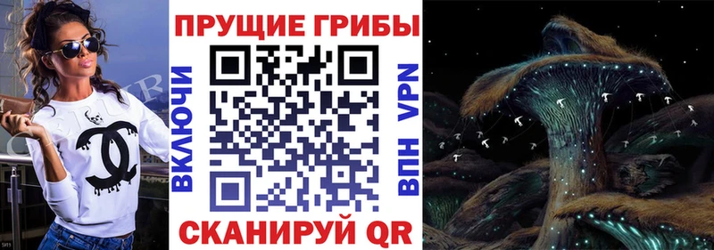 Псилоцибиновые грибы ЛСД  как найти   дарк нет какой сайт  Курганинск 